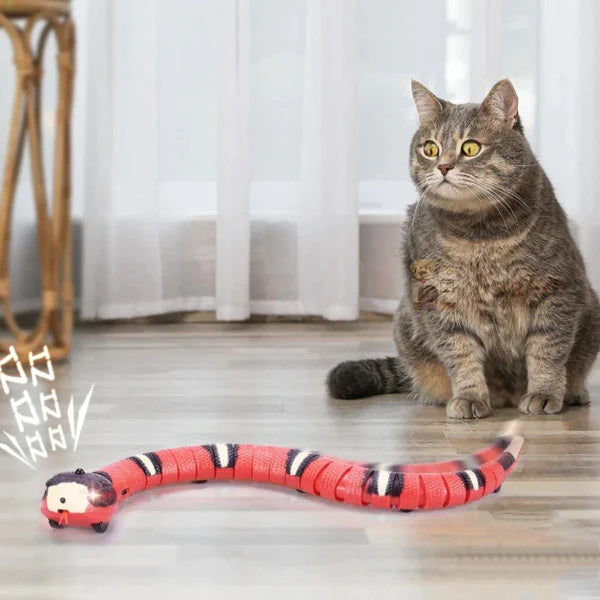 Cat Toy