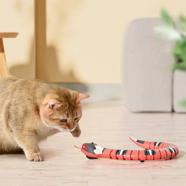 Cat Toy